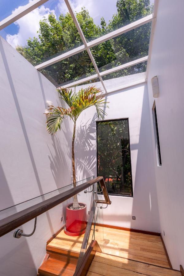 Casa Blanca In Coyoacan * Mexico